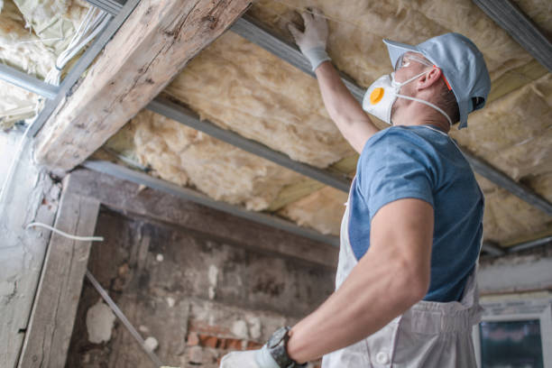 Best Types of Insulation in Tres Arroyos, NM