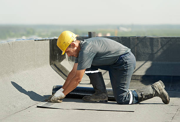 Best Insulation Installation Services in Tres Arroyos, NM
